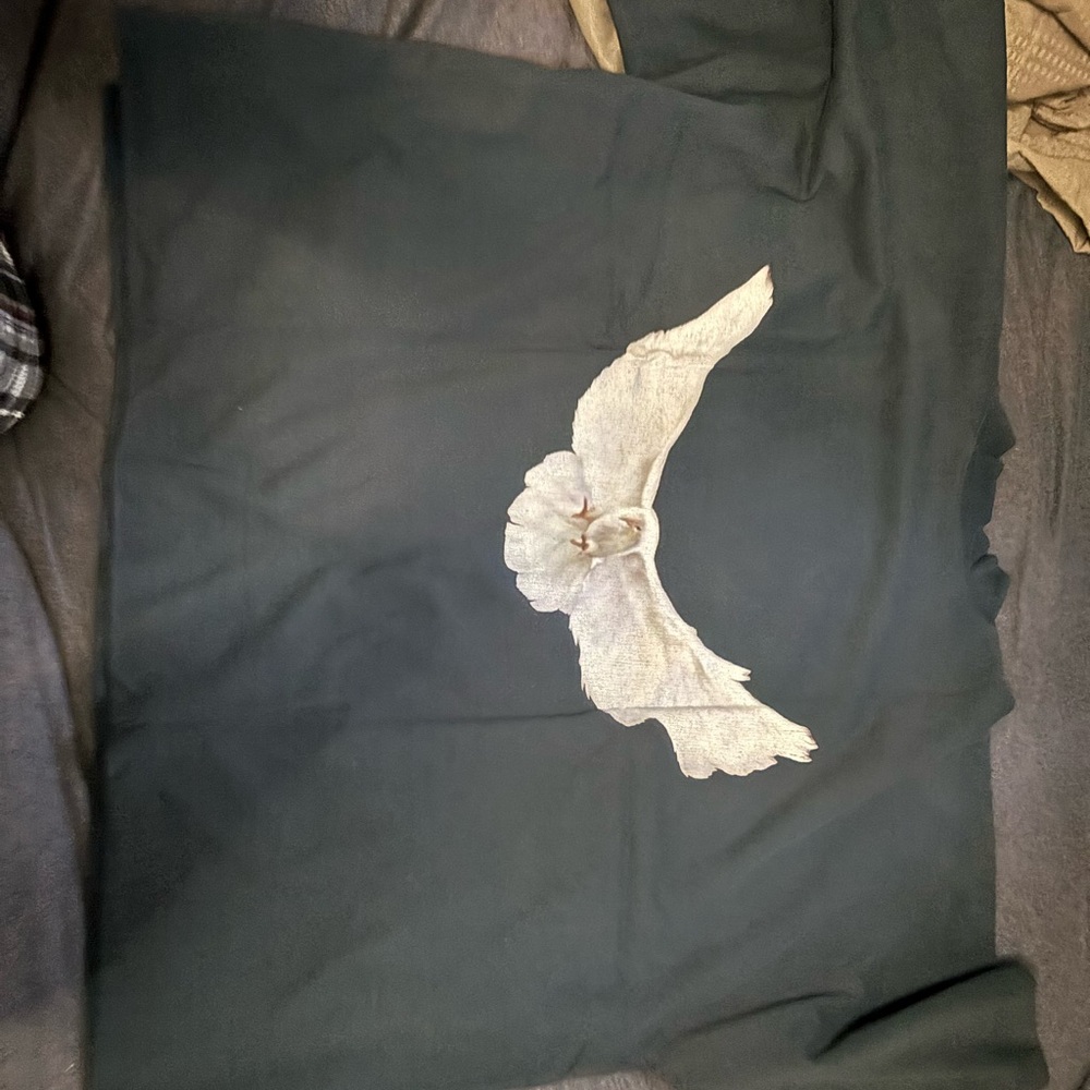 I have 2 navy blue Yeezy gap designed my Balenciaga brand new